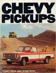 1977 Chevrolet Pickups-01